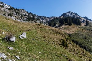 Alp Walau, Aussicht Richtung Hinter Höhi