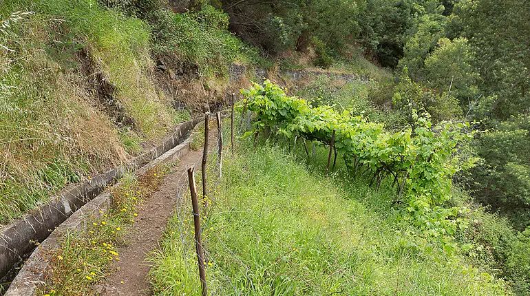 entlang der Levada do Castelejo