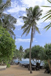 Strand vom Moonlight Bay Resort