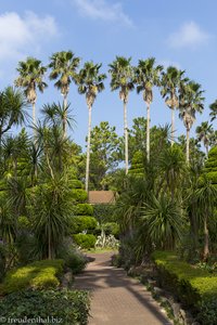 Blick zur Palmenallee im Exotic Hallim Park