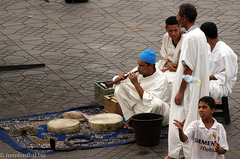 Djemaa el Fna - hier wird mit dem Leid der Tiere Geld verdient