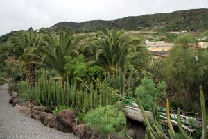 botanischer Garten