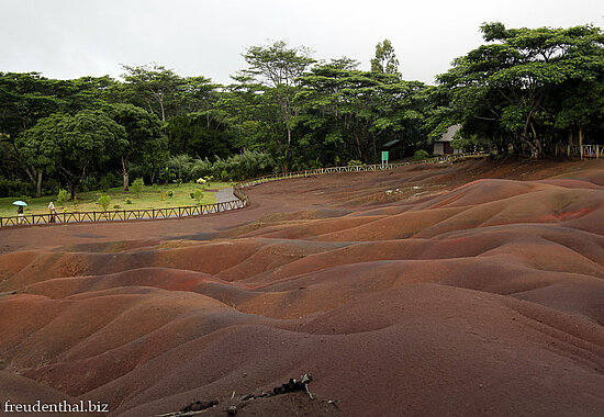 Siebenfarbige Erde auf Mauritius