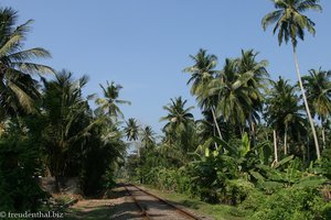 Bahnlinie bei Habaraduwa