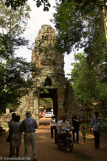 Urwaldtempel Ta Prohm in Kambodscha