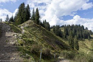 Auf der Hörner-Panoramatour