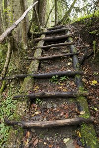 Leiter der Hausbachklamm