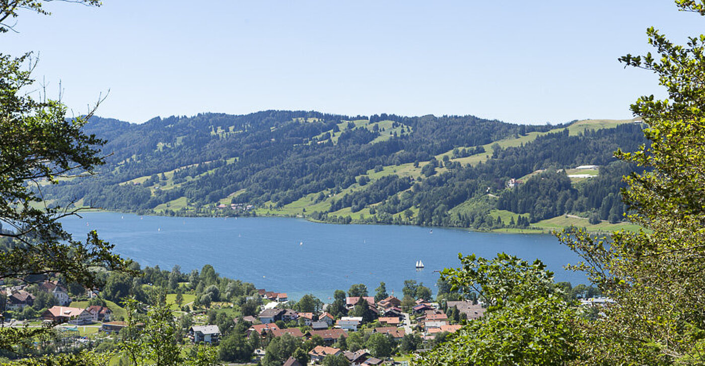 Aussicht auf den Großen Alpsee von der Ruine Rothenfels
