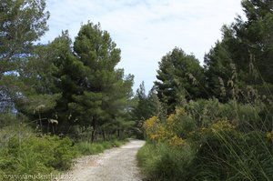 Wanderweg oberhalb Llucalcari