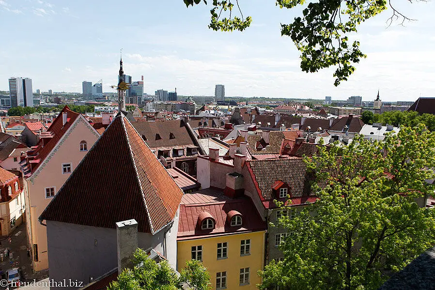 Blick vom Aussichtspunkt Patkul über die Altstadt von Tallinn