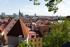 Blick vom Aussichtspunkt Patkul über die Altstadt von Tallinn