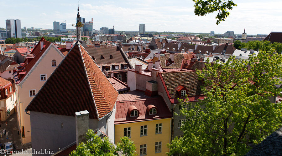 Blick vom Aussichtspunkt Patkul über die Altstadt von Tallinn