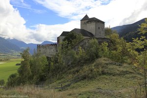 Blick auf die Burg Reifenstein