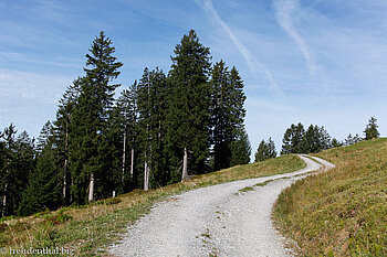 Wanderweg auf den Leistchamm