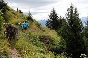 Wanderweg von Unterstetten nach Rigi-Scheidegg