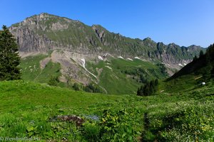 Mieserenstock auf dem Weg zur Silberen