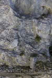Ein Wappen in der Felswand der Aareschlucht
