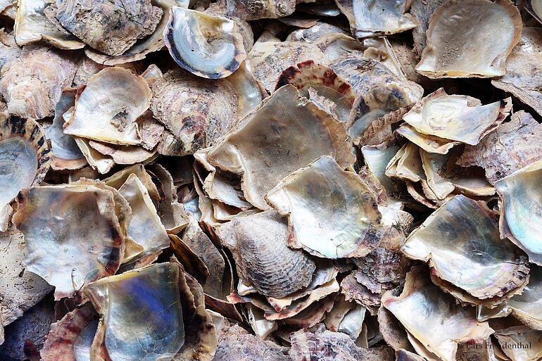 Leere Muschelschalen bei Legend Pearl, Halong