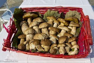 Frische Steinpilze in den Restaurants von Cannobio