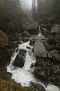 Das Bachbett der Burkhardklamm im Nebel.