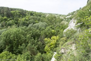 Der Hügel des Kerzendenkmals ist mit grünem Wald bewachsen.