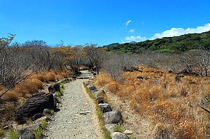 Durch die trockene Steppenlandschaft auf dem Sendero Las Pailas