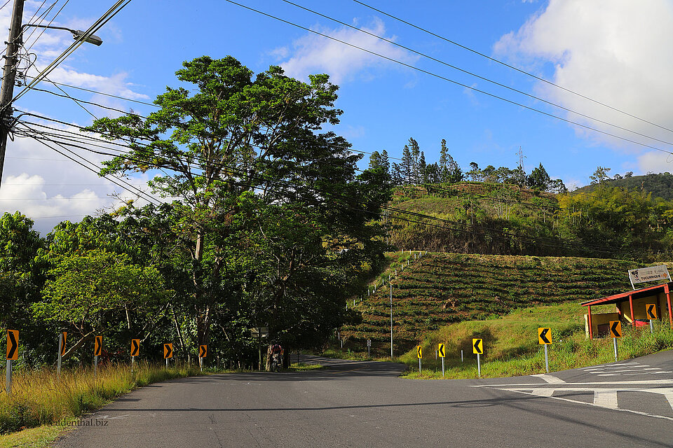 Unterwegs auf dem Circuito de Orosi in Costa Rica