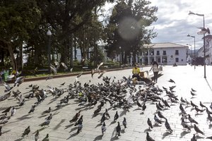 im Morgenlicht auf dem Parque Caldas von Popayán