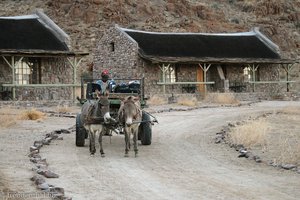 das Gepäck wird geholt