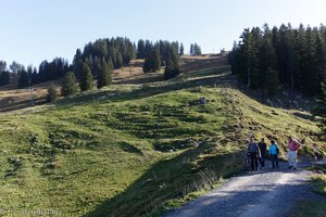 Schotterweg vom Ibergeregg zum Holzegg