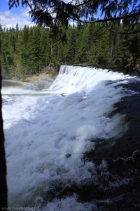 Dawson Falls, auch Little Niagara Falls genannt