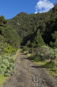 Schotterweg hinein in den Barranco de la Madera