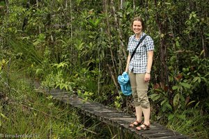 Annette auf Wanderschaft im Regenwald
