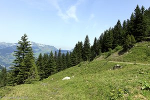 Blick vom unteren Rand des Meerenboden Richtung Mattstock