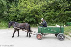 Bauer mit Pferdefuhrwerk bei der Mănăstirea Hâncu in Moldawien