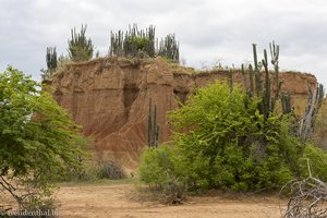 Im Labyrinth der Steinformationen der Tatacoa-Wüste in Kolumbien.