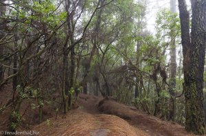 Schöne Wanderwege bei El Pilar