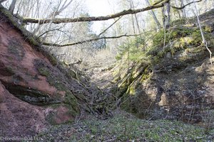 In der Rabenschlucht vom Gauja Nationalpark