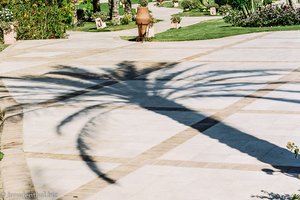 Palmschatten an der Strandpromenade des Iberotels