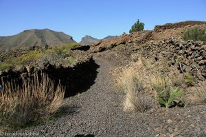 Auf dem Weg ins Lavafeld