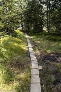 Wanderweg beim Wertacher Hörnle