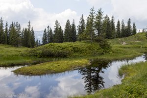 Hochmoore beim Bolgen auf dem Weg zum Wannenkopf