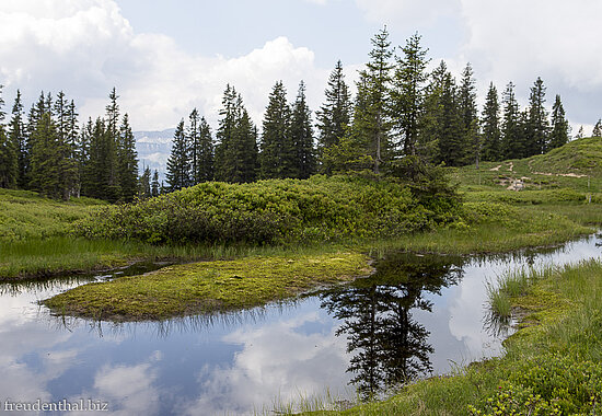 Hochmoor zwischen Wannenkopf und Riedberger Horn