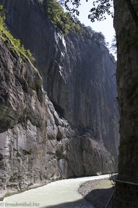 Das Wasser fließt gemächlich durch die Aareschlucht