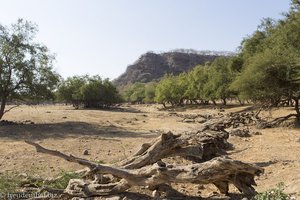 ausgetrocknetes Flussbett im Wadi Darbat