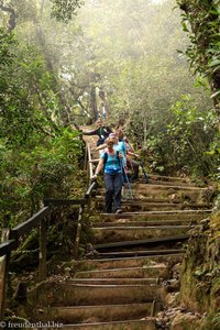 Aufstieg auf den Kinabalu