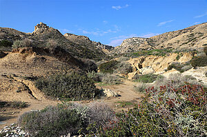 Tal bei Pissouri