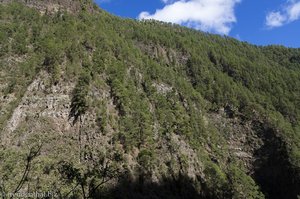 Ein Blick in den ruhigen Barranco de la Madera