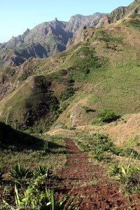 kleines Feld beim Gongon Tal auf Kapverden