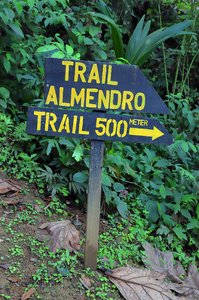 Der Almendro Trail der Boca Tapada Lodge